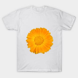 Orange Flower T-Shirt